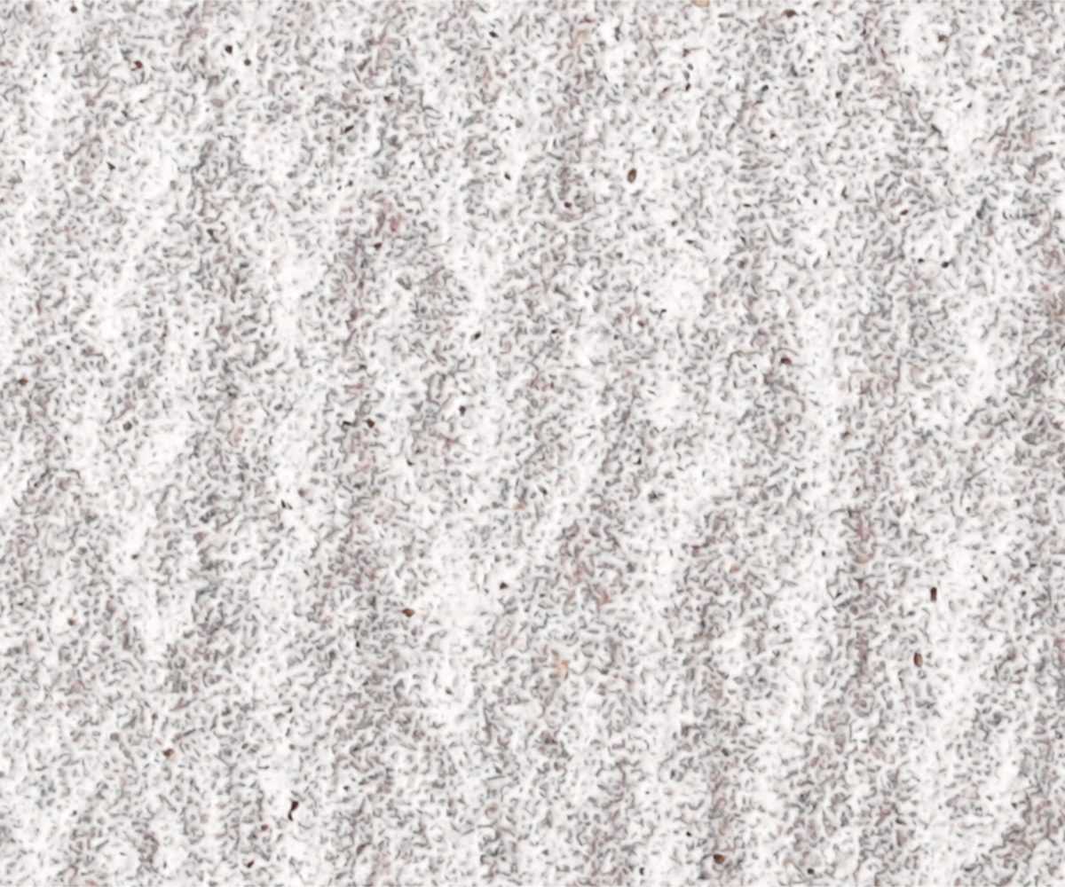 Emmi Nail Feile trapezfeile long life 5 Lima Trapezio LONG LIFE 100/180 - immagine 5