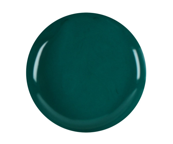 f281 tuerkis 1 3 Emmi-Nail Farbgel Daisy Leaf -F281-