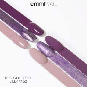 Gel unghie cremoso Mini Set di 3 colori "Lilly" -F462-