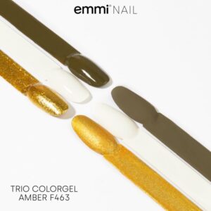 Gel unghie cremoso Mini Set di 3 colori "Amber" -F463-