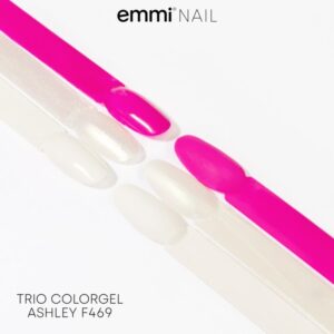 Gel unghie cremoso Mini Set di 3 colori "Ashley" -F469-